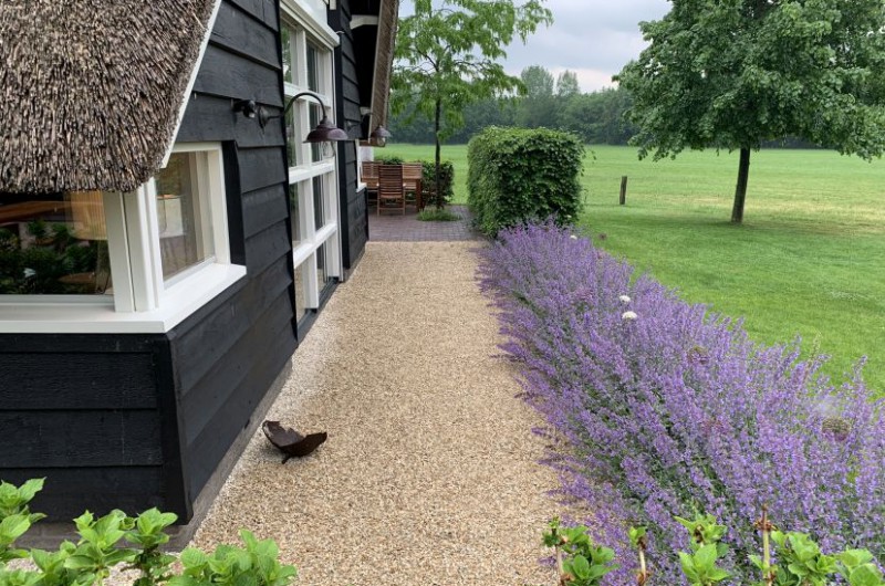 Bloeiende ruimtelijke landelijke tuin 